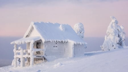 the snow house - house, trees, winter, pink sky, cold, snow, frost