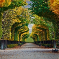 Autumn Park Vienna Austria