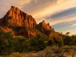 Fall in Zion National Park