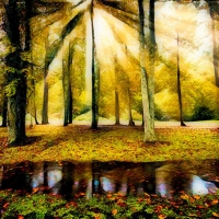 Spiritual Sunrays in Autumn