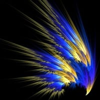 COLORFUL FEATHER