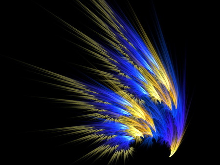 COLORFUL FEATHER - feather, art, multi color, digital