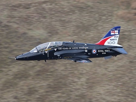 Royal Navy Hawk [Aniversary Tail] - low level, faa, hawk, wales