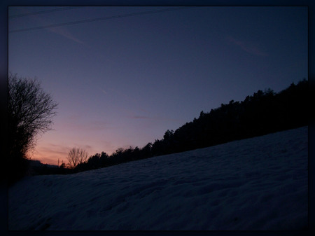 Dark trees in sunset - winter, tree, sunset, dark