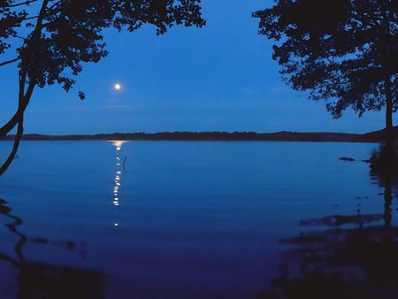 Moonlight Shadow - nice, sky, lake, trees, night, blue, beautiful, moonlight, reflexive