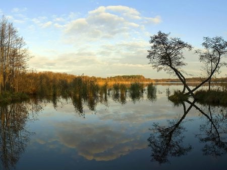 The Hidden Bay - sky, landscape, trees, water, bay, lakes, clouds, reflexives, sea