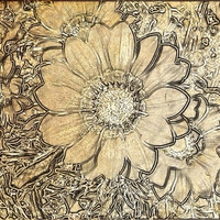 Flower Drawing