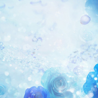 Blue Roses Windows 7 themes .jpg
