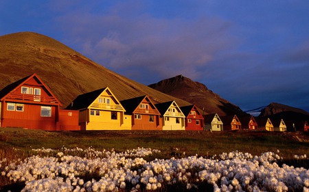 ROW OF COLOFUL HOUSES - blossoms, mountains, multicolor, houses