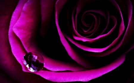 ROSE WATER - photography, manipulation, digital, water drop, rose, photo