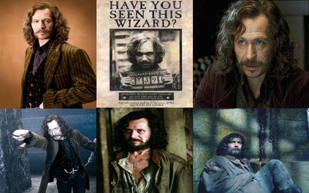 Sirius Black Wallpaper - sirius black, harry potter series, actor