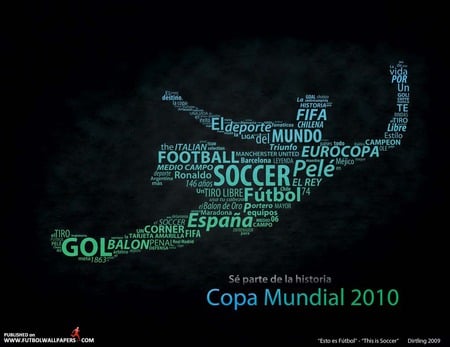 World Cup 2010 - world cup 2010, soccer