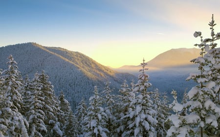 Winter Scenery - trees, winter, snow, blue sky, landscape, forest, skies, nature, mountains