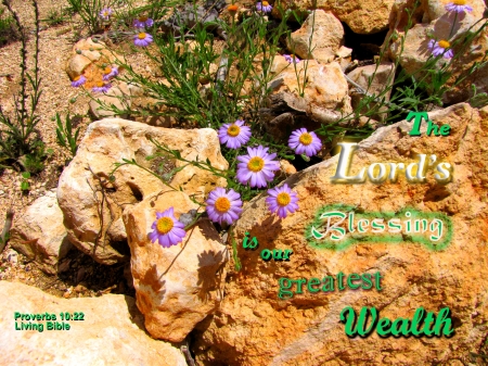 The Lord's Blessing - wildflowers, plants, flowers, Bible, rocks, stones