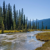 River in Canada
