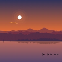 Vector Sunset