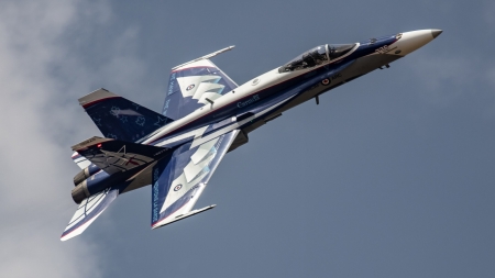 McDonnell Douglas F-18 Hornet