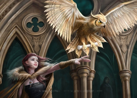 Owl Messenger - pillars, bird, digital, girl, church, art