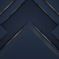 Navy and Gold