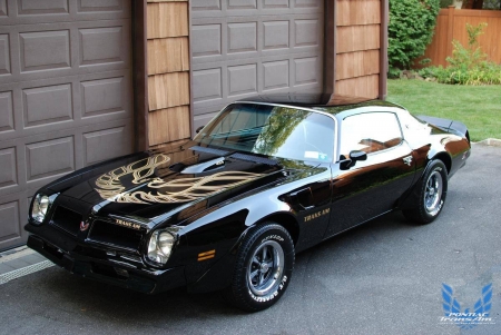 1976 TRANS AM - 400, BLACK, PONTIAC, FIREBIRD