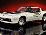 1981 PACE CAR TA