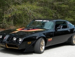 TRANS AM FIRE AM