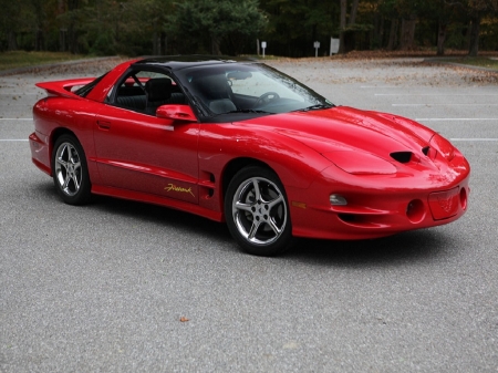 2001 trans am firehawk - rising, firebird, awesome, poncho