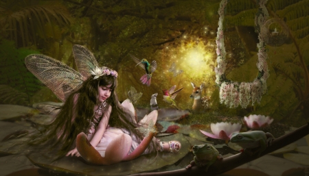 Lotus fairy