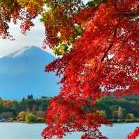 Autumn in Japan