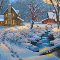 Winter scene