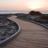 asilomar state beach