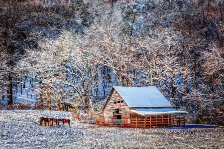 A Beautiful Winter Morning