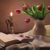 Tulips and Candle