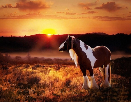 Gipsy sunset - clouds, hills, colors, horse, sun, sky