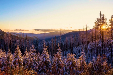 First snowfall in the Klamath Mountains, Oregon - usa, trees, landscape, snow, sky