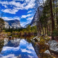 Yosemite Blues