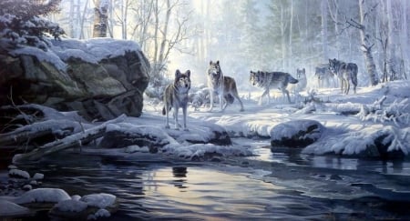 Wolves Near The Snowy River