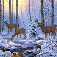 Deers