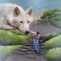 The white wolf and the girl