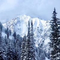 Mt. Superior - Alta, Utah