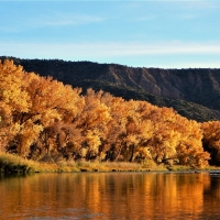 Rio Grande