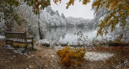 Between autumn and winter - winter, bench, frost, lake, rest, reflection, snow, autumn, view, forest