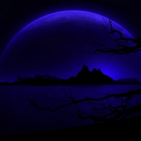 Purple Night