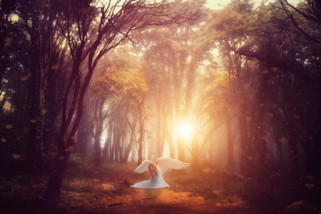 Angel of sorrow - angel, forest, light, nature, pretty, sun, sunrays, trees, wings, woman