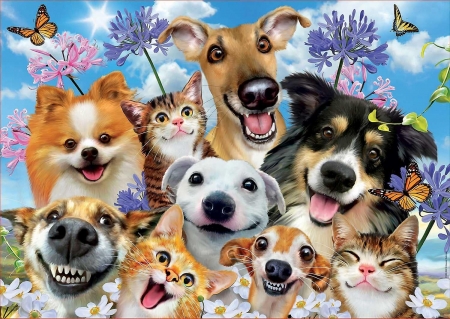 Selfie - dog, selfie, cat, summer, pisici, flower, funny, caine, vara