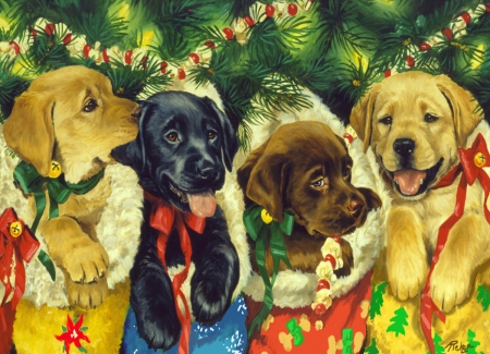 Christmas puppies - dog, puppy, painting, craciun, art, pictura, christmas, caine