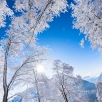 Winter in Alps of Austria