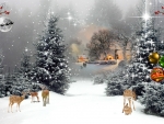 A Winters Evening