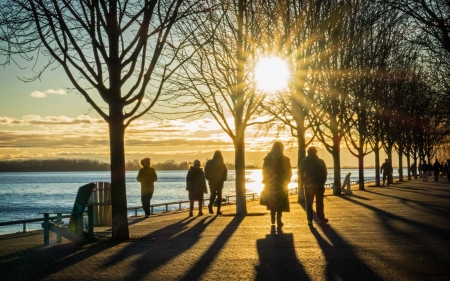 Promenade in Canada - trees, sunbeams, promenade, Canada