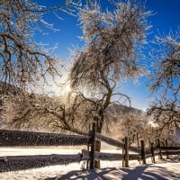 Winter in Austria